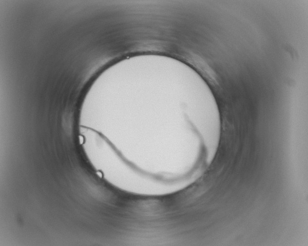 X0000115300108200911231317