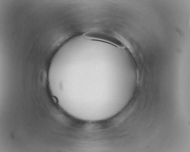 X0000115300109200911231317