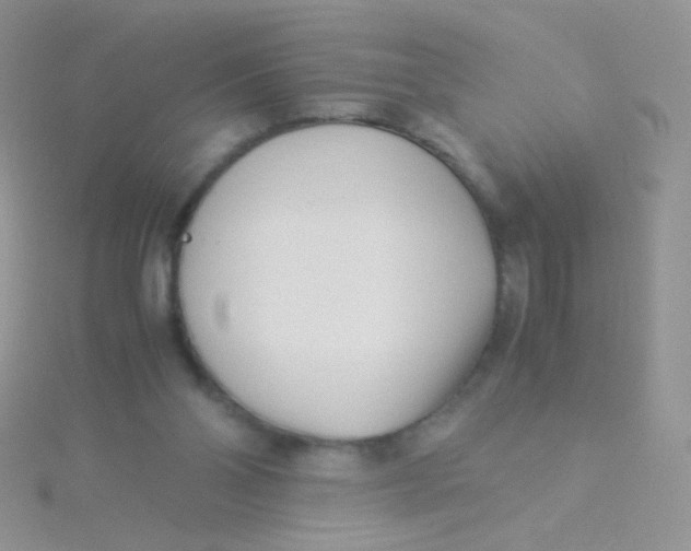 X0000115300110200911231317