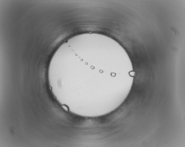 X0000115300111200911231317