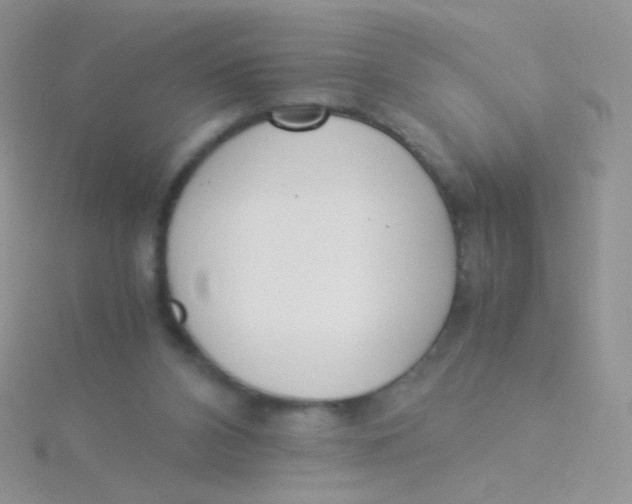 X0000115300112200911231317