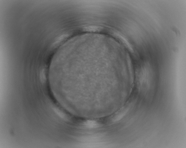 X0000115300114200911231317