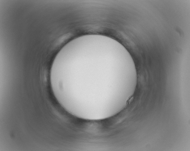 X0000115300115200911231317