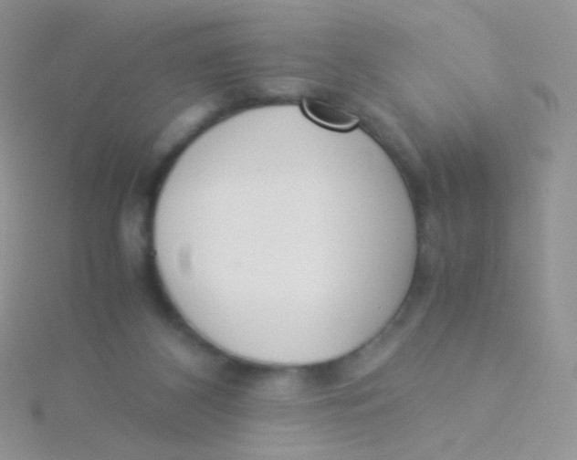 X0000115300116200911231317