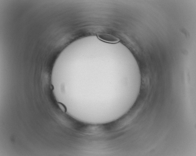 X0000115300117200911231317