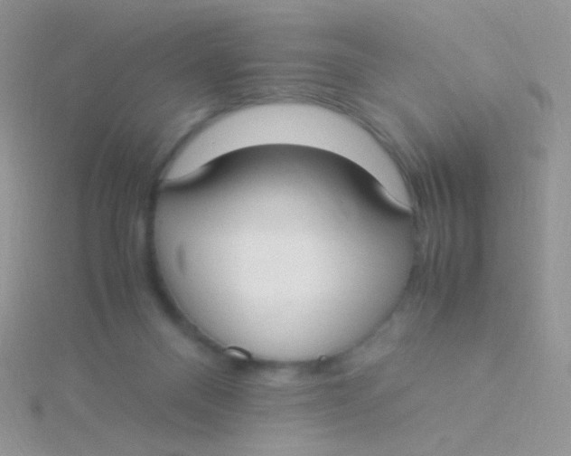 X0000115300120200911231317