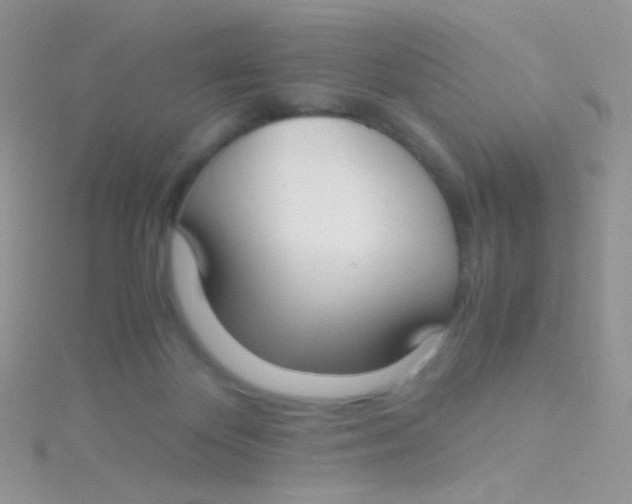 X0000115300124200911231317