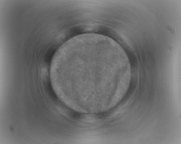 X0000115300127200911231317