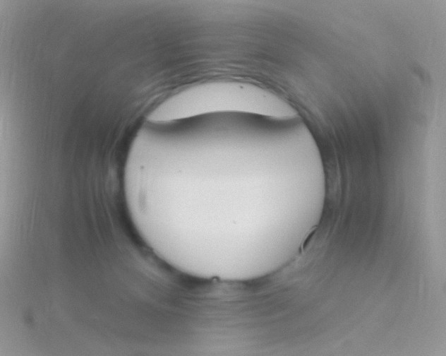 X0000115300128200911231317