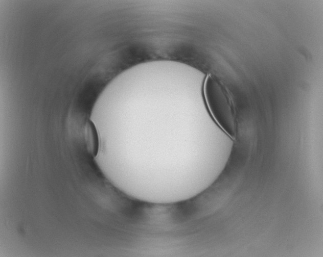 X0000115300129200911231317