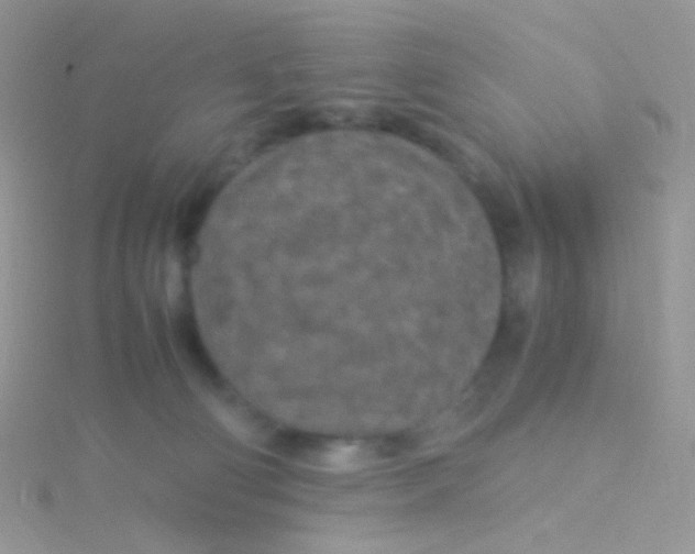 X0000115300130200911231317