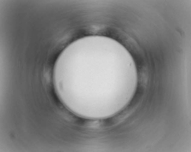 X0000115300131200911231317