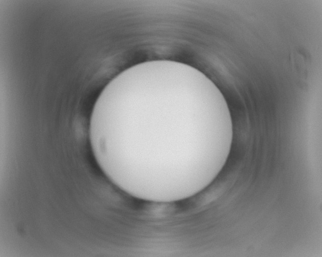 X0000115300135200911231317