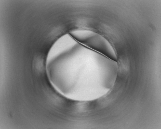 X0000115300136200911231317