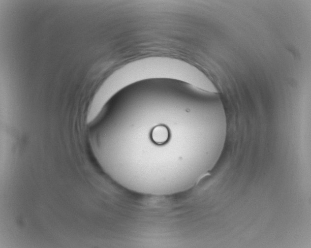 X0000115300137200911231317