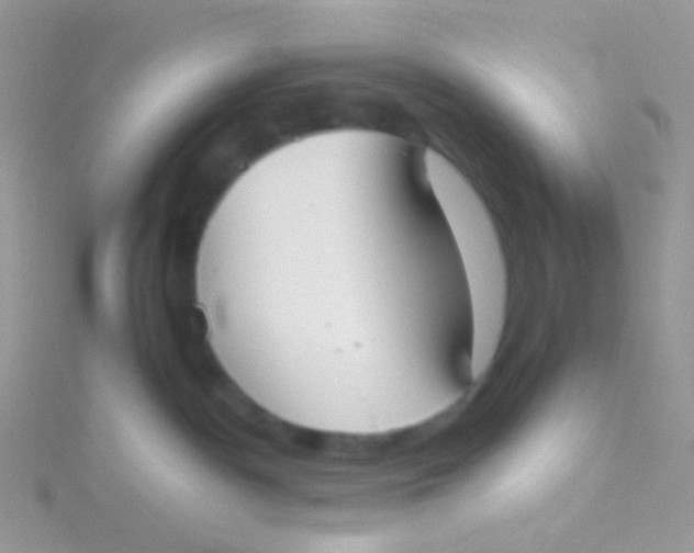 X0000115300140200911231317