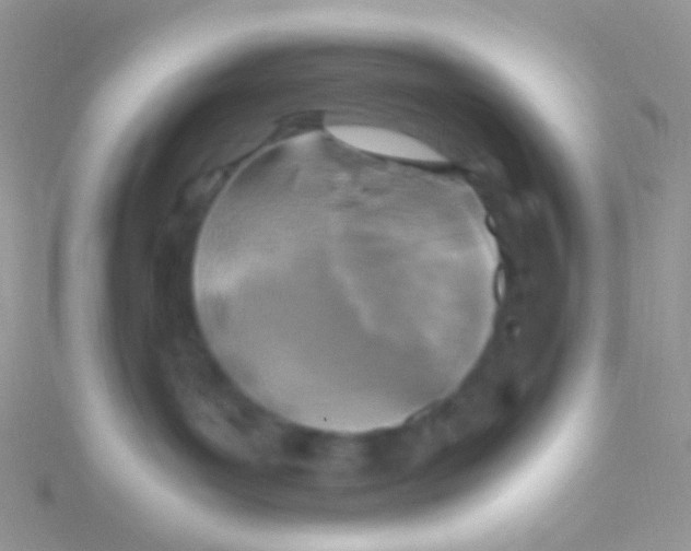 X0000115300143200911231317