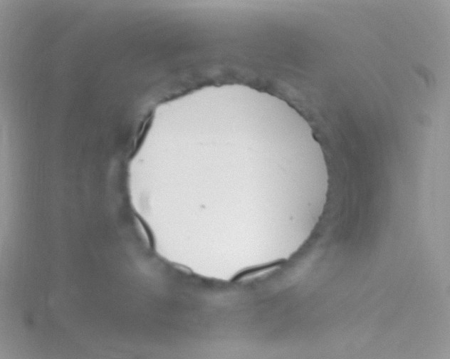 X0000115300144200911231317