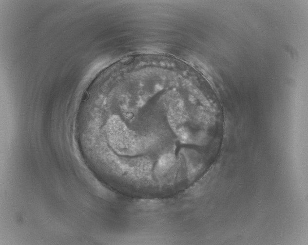 X0000115300145200911231316