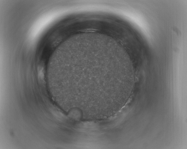 X0000115300146200911231316