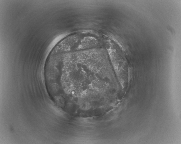 X0000115300147200911231316