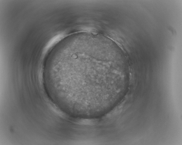 X0000115300149200911231316