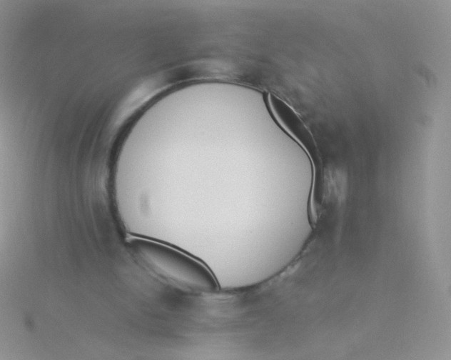 X0000115300150200911231316