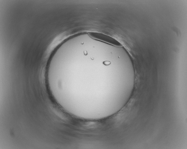 X0000115300151200911231316