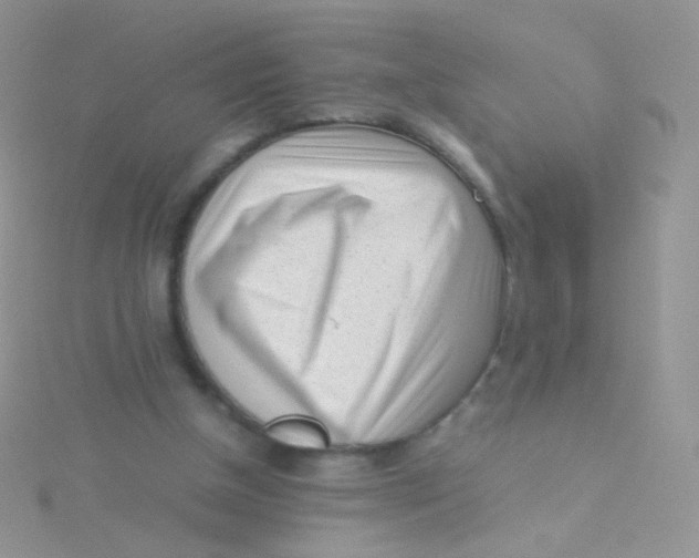 X0000115300154200911231316