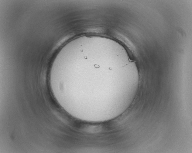 X0000115300155200911231316