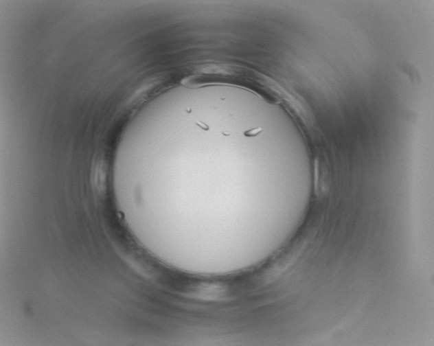 X0000115300157200911231316