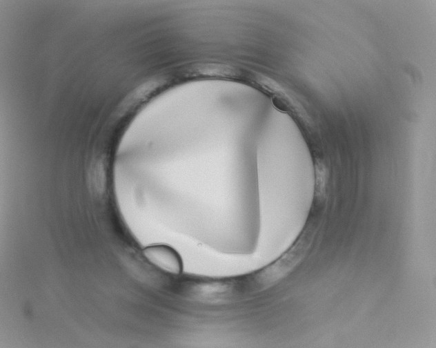 X0000115300158200911231316