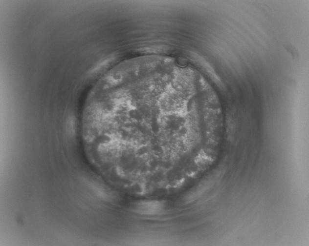 X0000115300161200911231316