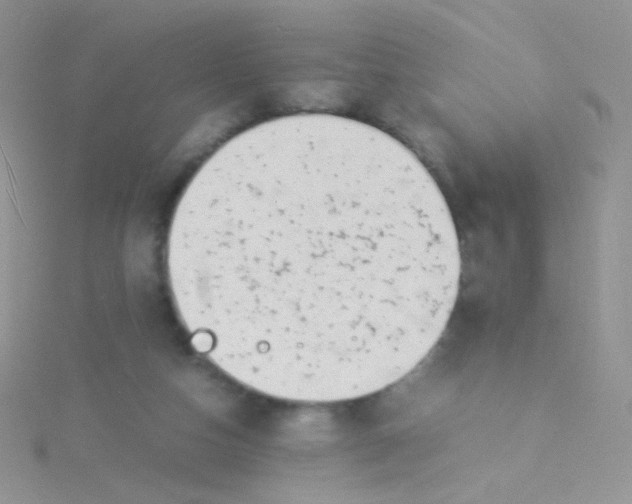 X0000115300162200911231316