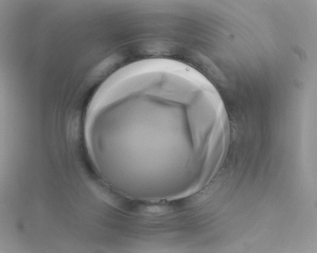 X0000115300163200911231316