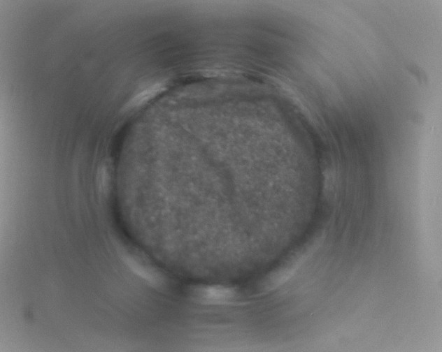 X0000115300165200911231316