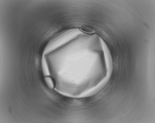 X0000115300166200911231316