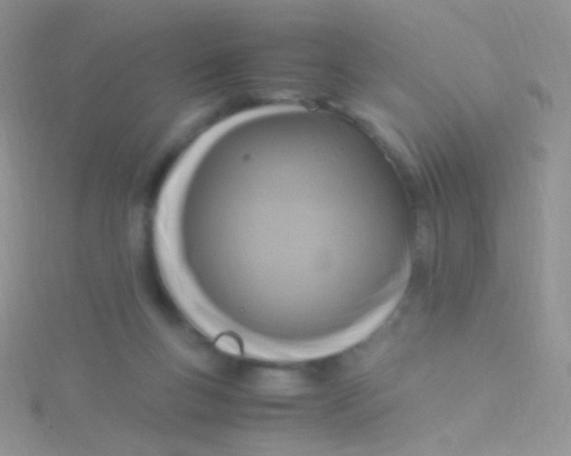 X0000115300167200911231316