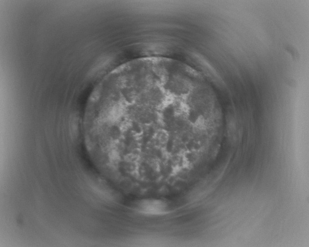 X0000115300169200911231316