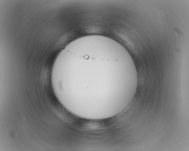 X0000115300171200911231316