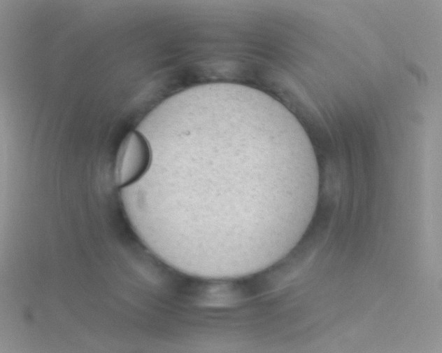 X0000115300173200911231316