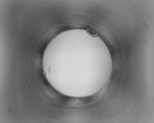 X0000115300174200911231316