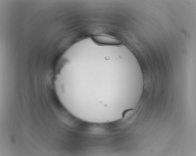 X0000115300175200911231316