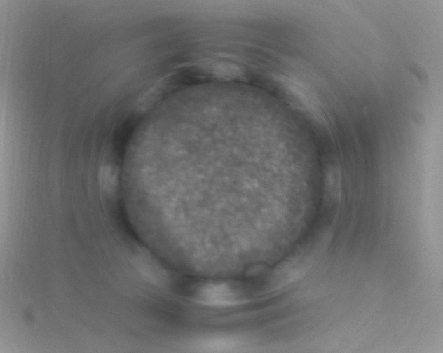 X0000115300177200911231316