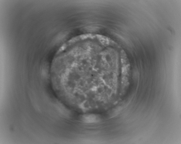 X0000115300181200911231316