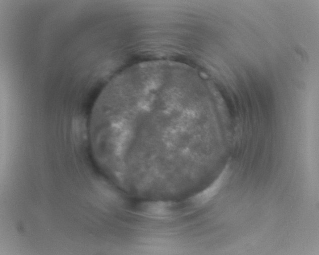 X0000115300182200911231316