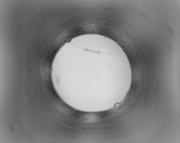 X0000115300183200911231316