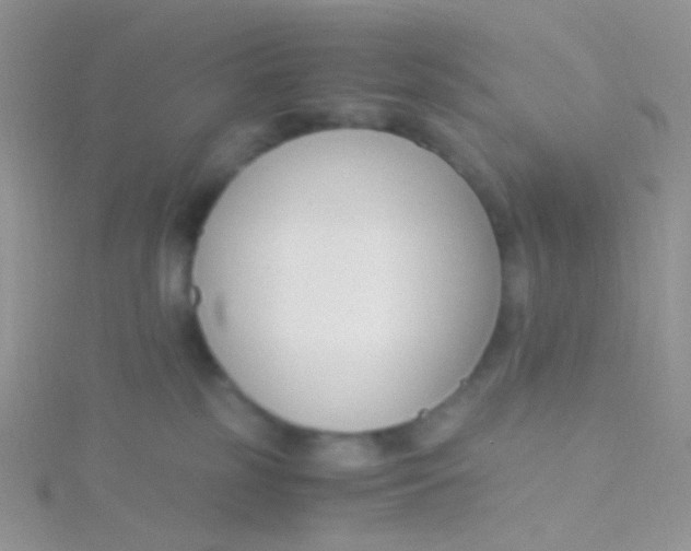 X0000115300185200911231316