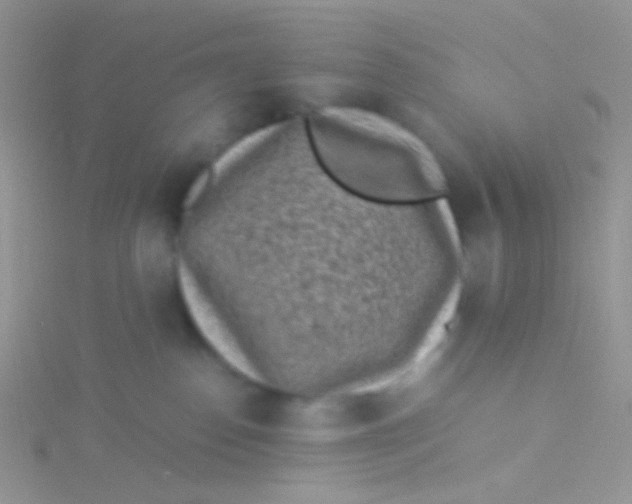 X0000115300186200911231316