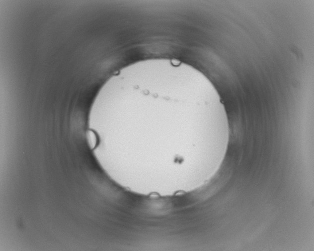 X0000115300187200911231316